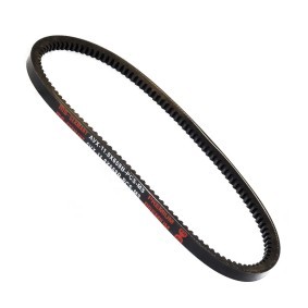 Achetez des Courroie trapézoïdale MASTER-SPORT AVX-11.8X658B-PCS-MS à prix pour 5,31 €