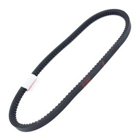 Achetez des Courroie trapézoïdale MASTER-SPORT AVX-13X800-PCS-MS à prix pour 5,51 €