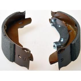 Bremsbackensatz B120060