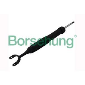 VOLKSWAGEN Stoßdämpfer von Borsehung