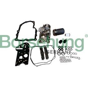 Hydraulikfilter, Automatikgetriebe von Borsehung B12424