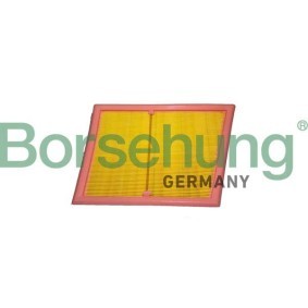 Luftfilter von Borsehung B12439