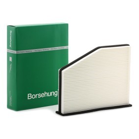 Køb Pollenfilter af Borsehung B12798 til den lave pris 114,06 DKK