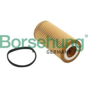 Achetez des Filtre à huile Borsehung B12815 à prix pour 9,12 €