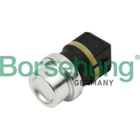 Achetez des Sonde de température, liquide de refroidissement Borsehung B13134 à prix pour 11,14 €
