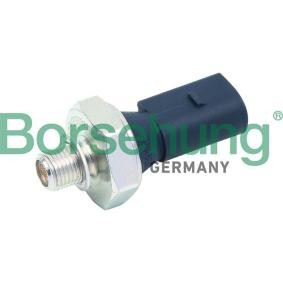 Acquista Interruttore di pressione olio da Borsehung B13136 a buon mercato per soli 10,27 €