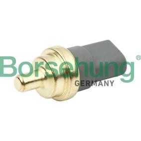 Sensor, Kühlmitteltemperatur von Borsehung