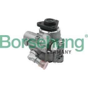 Achetez des Pompe de direction assistée Borsehung B13208 à prix pour 212,79 €