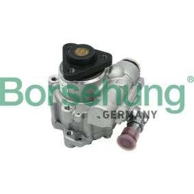 Achetez des Pompe de direction assistée Borsehung B13209 à prix pour 187,17 €