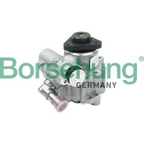 Servopumpe von Borsehung