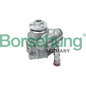 Servopumpe von Borsehung