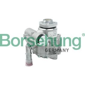 Servopumpe B13212