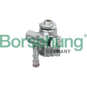 Achetez des Pompe de direction assistée Borsehung B13213 à prix pour 174,92 €