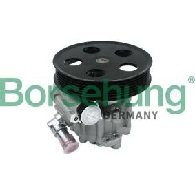 Servopumpe von Borsehung