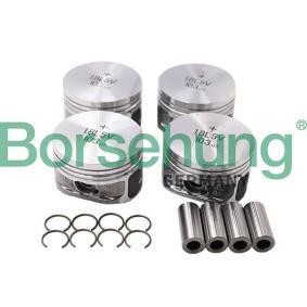 Compre Jogo de segmentos do êmbolo da Borsehung B13579 a um preço baixo por 196,17 €