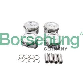 Comprar Juego de aros de pistón de Borsehung B13581 a bajo precio de 299,69 €