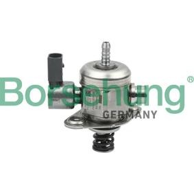 Achetez des Pompe à injection Borsehung B13841 à prix pour 301,91 €