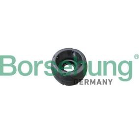 Acquista Supporto ammortizzatore da Borsehung B16172 a buon mercato per soli 10,23 €