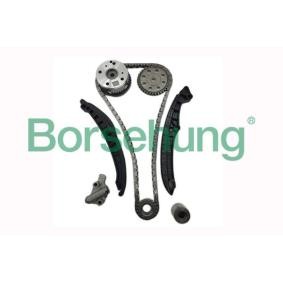 Steuerkettensatz von Borsehung