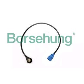 Comprar Sensor de detonaciones de Borsehung B16932 a bajo precio de 30,98 €