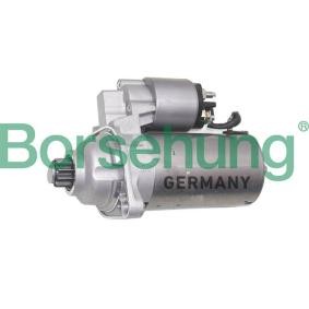 Anlasser von Borsehung