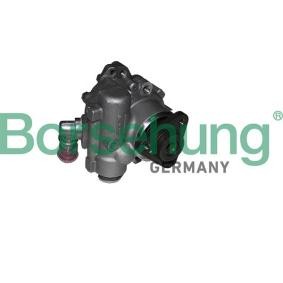 Servopumpe von Borsehung