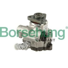 Achetez des Pompe de direction assistée Borsehung B18223 à prix pour 201,23 €