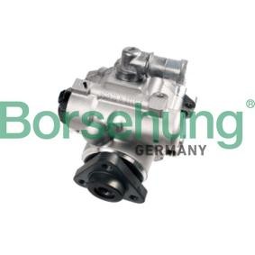 Servopumpe von Borsehung