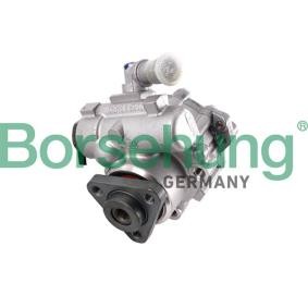 Servopumpe von Borsehung
