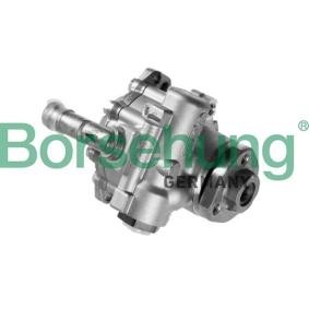 Achetez des Pompe de direction assistée Borsehung B18227 à prix pour 248,40 €