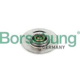 Achetez des Thermostat d'eau Borsehung B18247 à prix pour 14,48 €