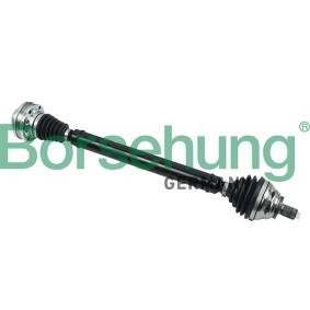 Antriebswelle von Borsehung