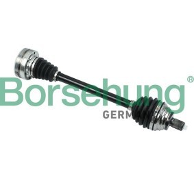 Antriebswelle von Borsehung