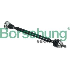 Antriebswelle von Borsehung