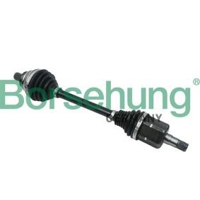 Antriebswelle von Borsehung