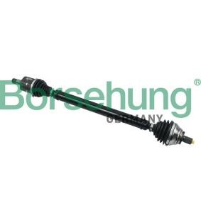 Antriebswelle von Borsehung