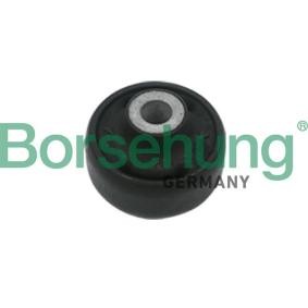 VOLKSWAGEN Lagerung, Lenker von Borsehung