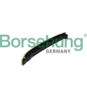 Achetez des Coulisse de chaîne de distribution Borsehung B1G006 à prix pour 21,88 €