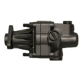 Servopumpe BAD51Z