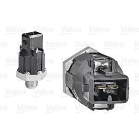 Klopfsensor 255400