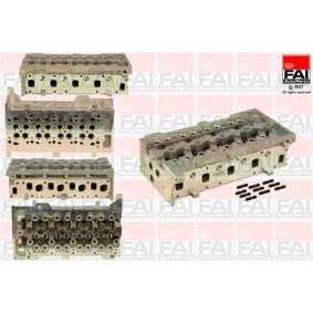 Osta Sylinterikansi FAI AutoParts:llä BCH011 edullisesti hintaan 461,59 €