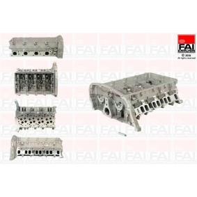 Osta Sylinterikansi FAI AutoParts:llä BCH018 edullisesti hintaan 844,99 €