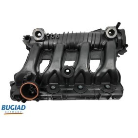 Heckklappendämpfer BGS10553 von BUGIAD günstig für 21,33 € online kaufen