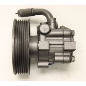 Servopumpe BHU68Y