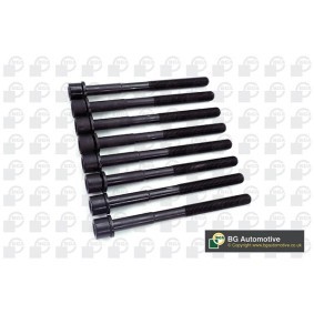 Zylinderkopfschrauben von BGA für RX (MHU3_, GSU3_, MCU3_) günstig online kaufen