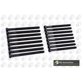 Zylinderkopfschraubensatz von BGA