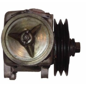 Servopumpe BMR56Z