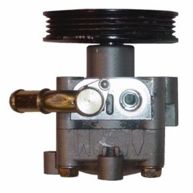 Servopumpe BNS51Z