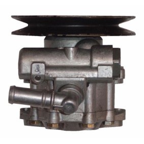 Servopumpe BNS53Z