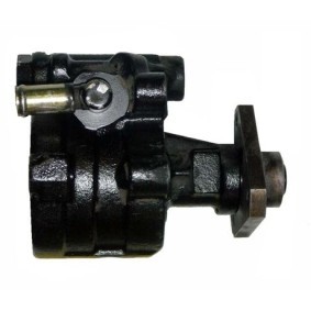 Servopumpe BRN81S